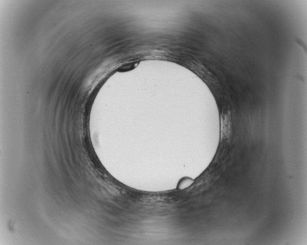 X0000099300291200805301139