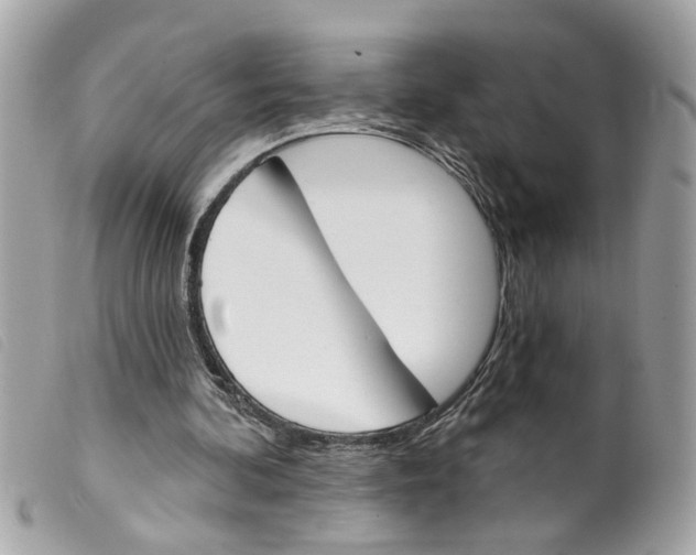X0000099300292200805301139