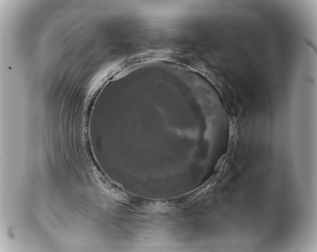 X0000099300293200805301139