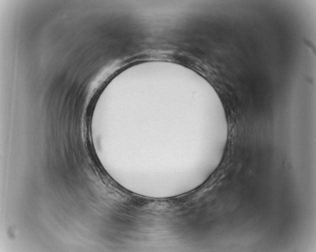 X0000099300294200805301139
