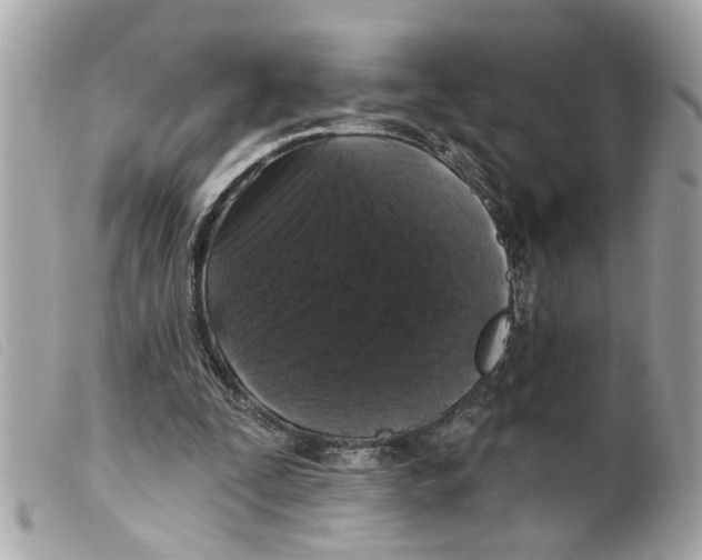 X0000099300295200805301139