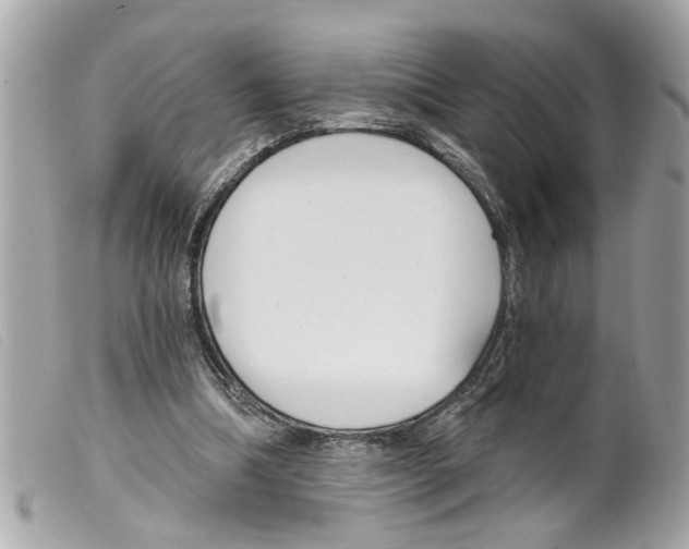 X0000099300298200805301139