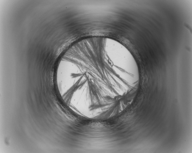 X0000099300299200805301139