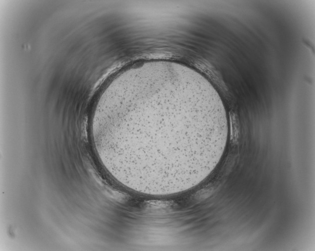 X0000099300300200805301139