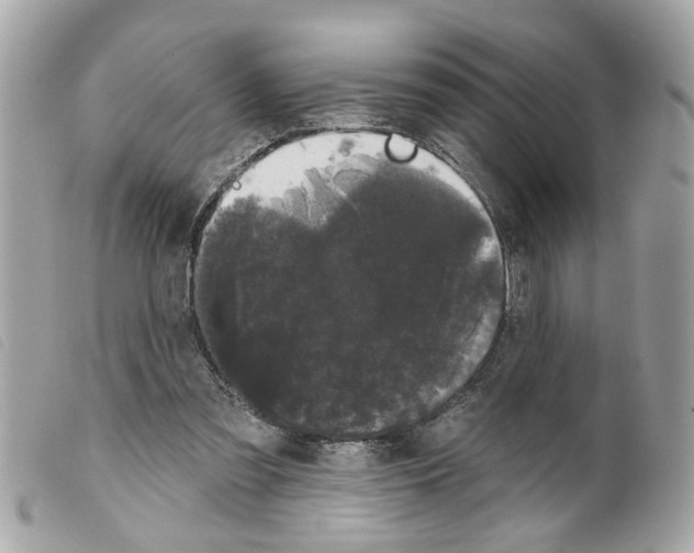 X0000099300301200805301139