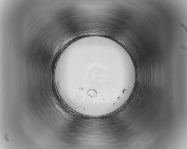 X0000099300302200805301139