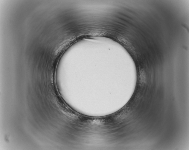 X0000099300303200805301139