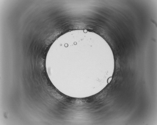 X0000099300305200805301138