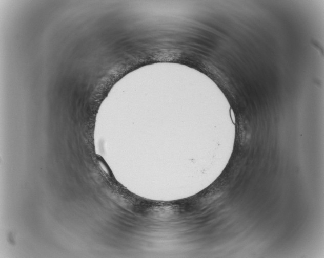 X0000099300307200805301138