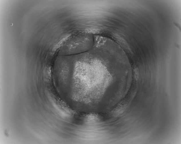 X0000099300308200805301138