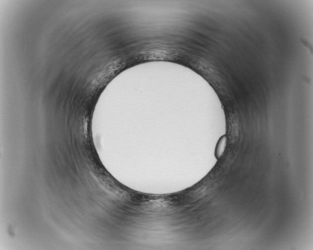 X0000099300310200805301138
