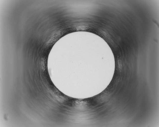 X0000099300311200805301138