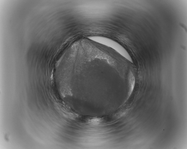X0000099300312200805301138