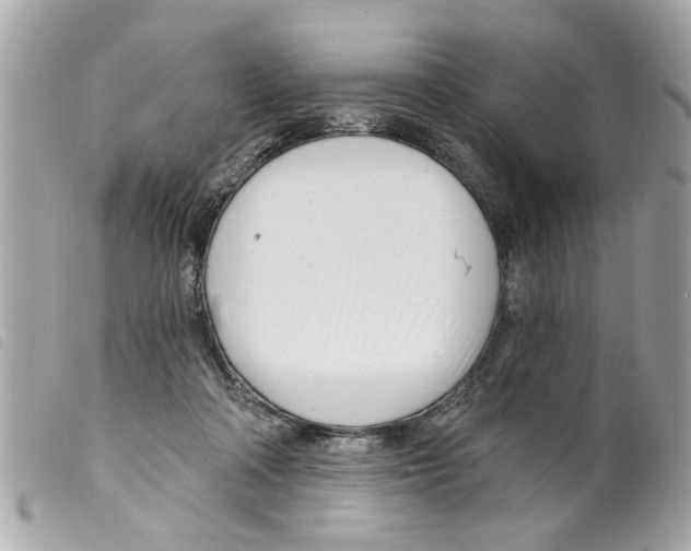 X0000099300314200805301138