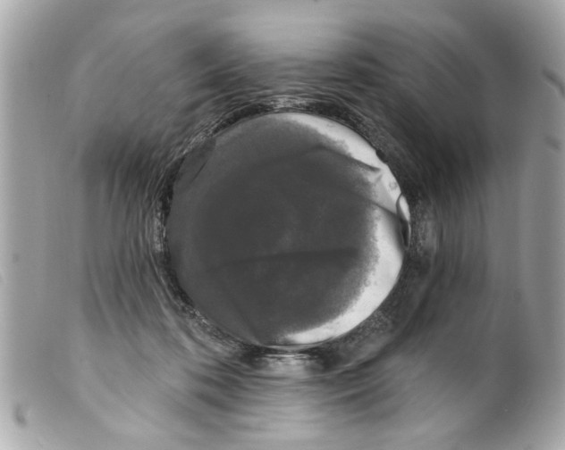 X0000099300316200805301138