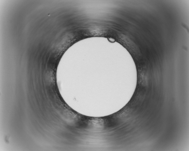 X0000099300317200805301138