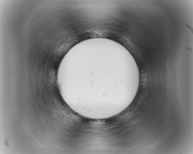 X0000099300318200805301138