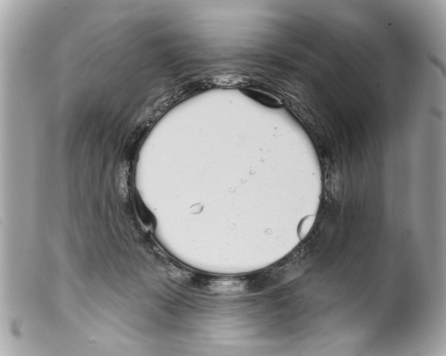 X0000099300319200805301138