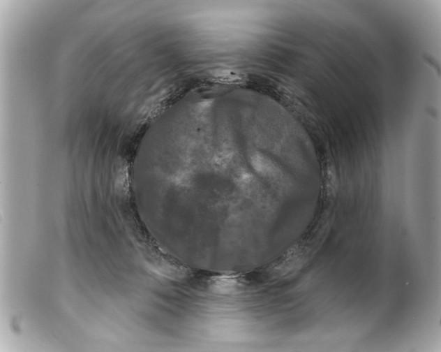 X0000099300320200805301138
