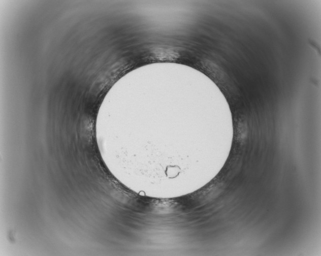 X0000099300321200805301138