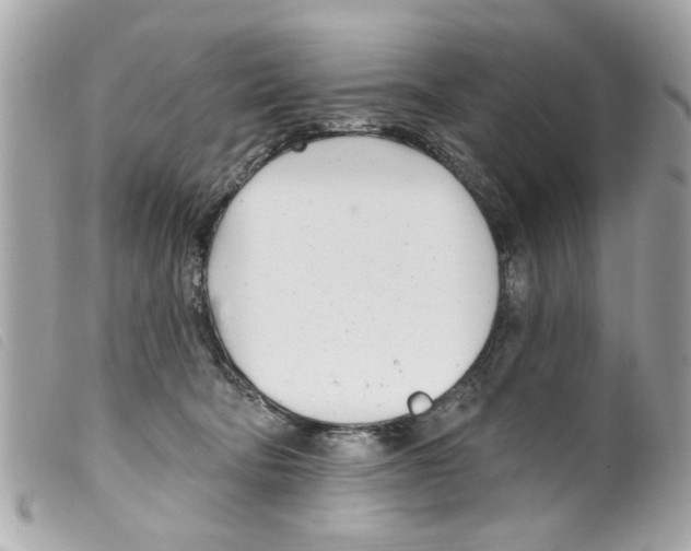 X0000099300322200805301138
