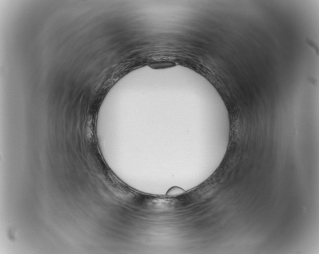 X0000099300323200805301138