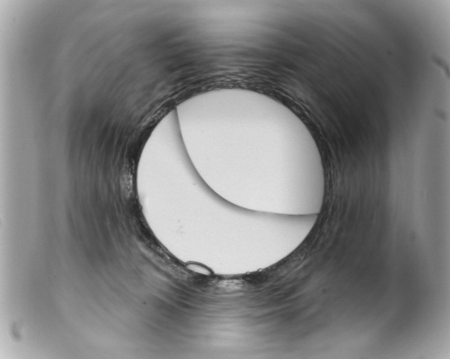 X0000099300324200805301138