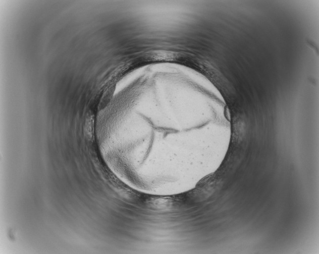 X0000099300325200805301138