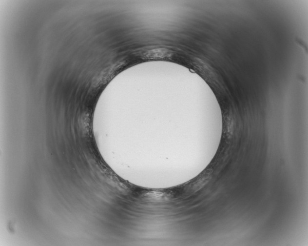 X0000099300326200805301138