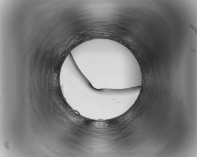 X0000099300327200805301138