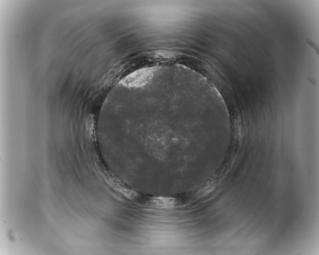 X0000099300328200805301138
