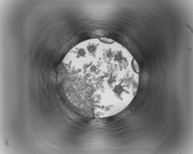 X0000099300331200805301138