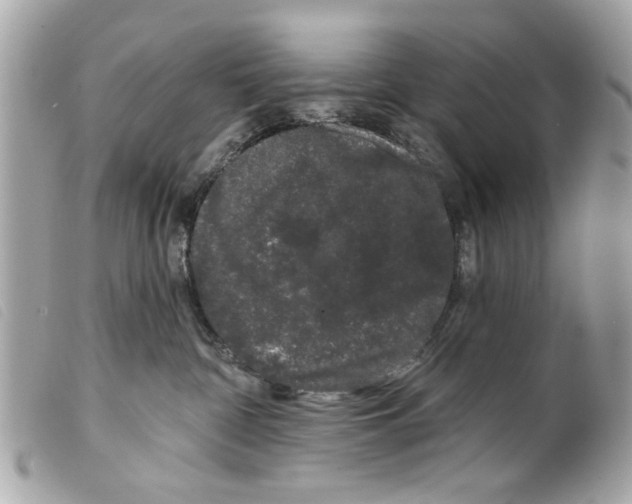 X0000099300332200805301138