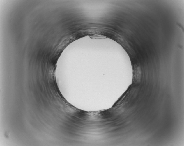 X0000099300333200805301138