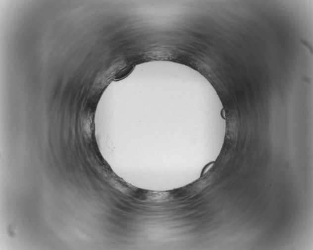 X0000099300334200805301138