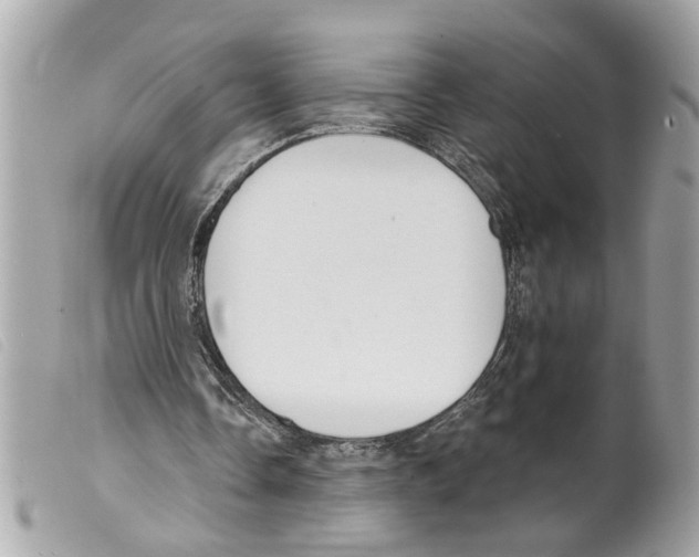 X0000099300338200805301137
