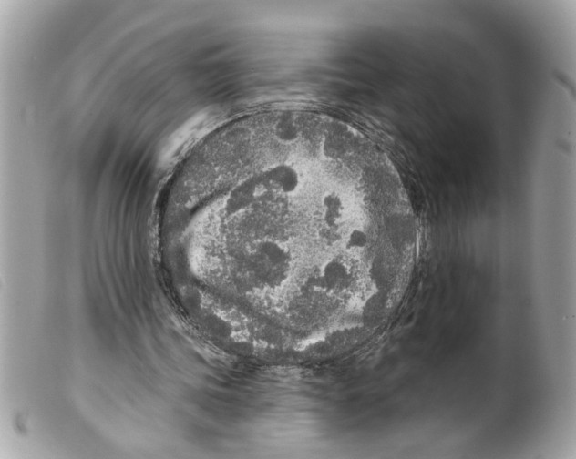 X0000099300339200805301137