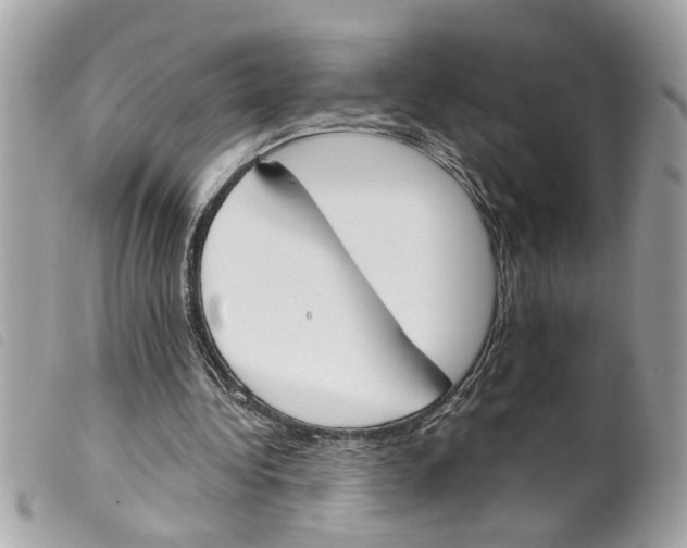 X0000099300340200805301137