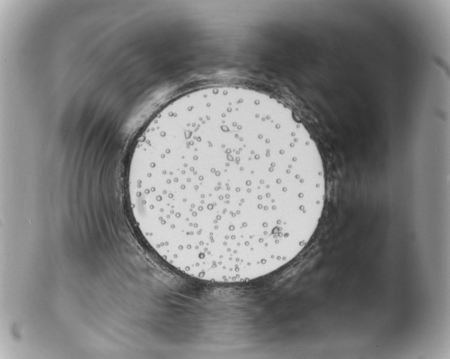X0000099300341200805301137