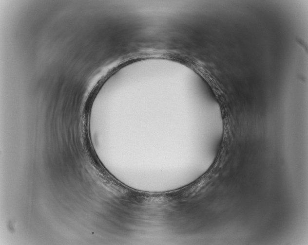 X0000099300342200805301137