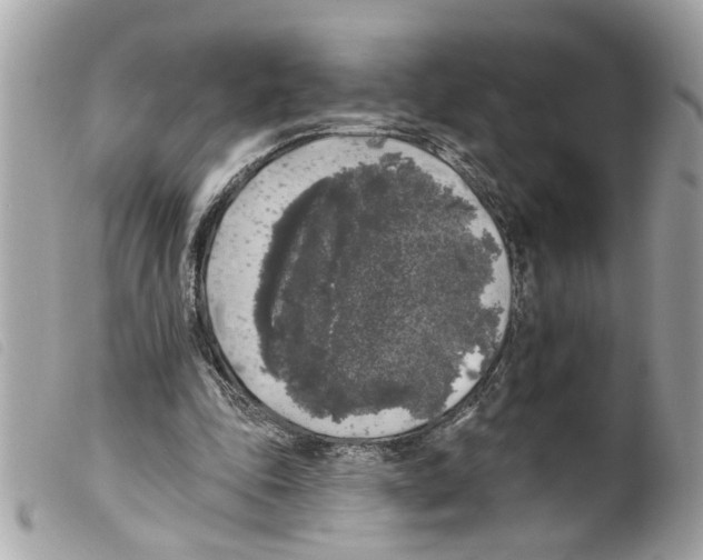 X0000099300343200805301137