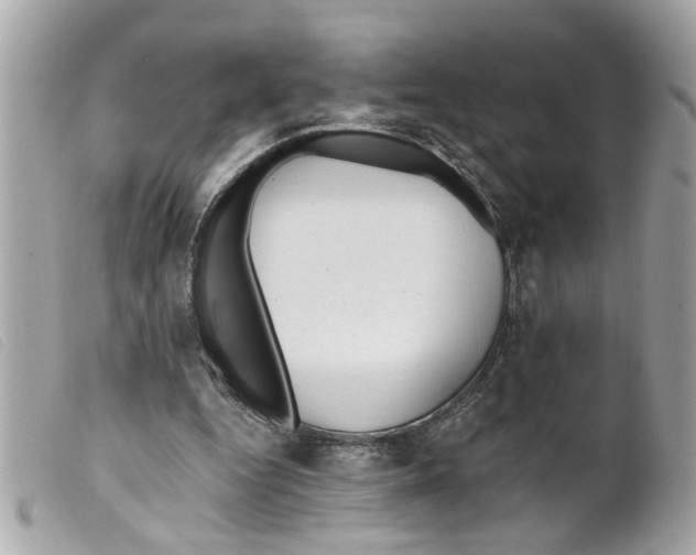 X0000099300344200805301137