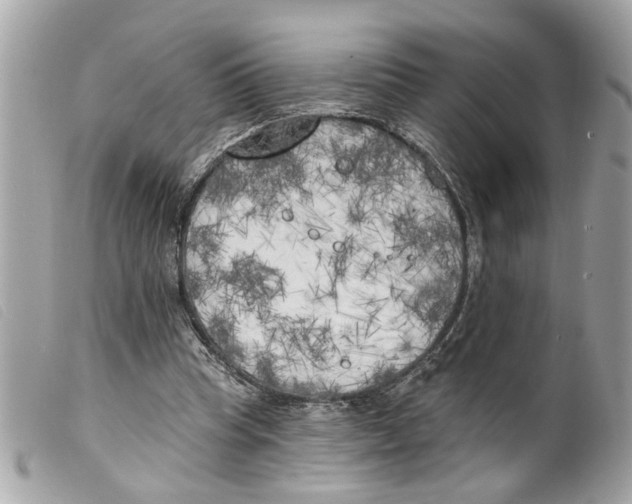 X0000099300345200805301137