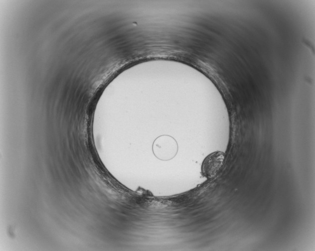 X0000099300346200805301137