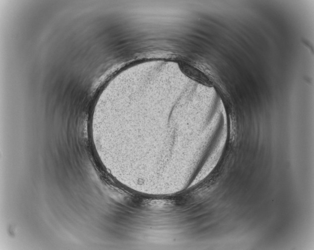 X0000099300348200805301137