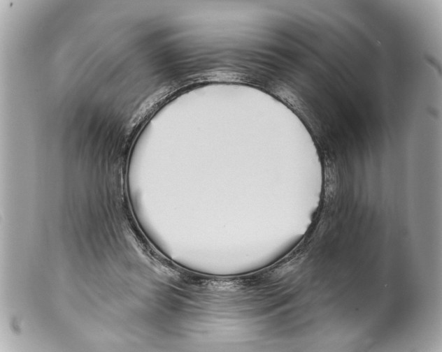 X0000099300349200805301137