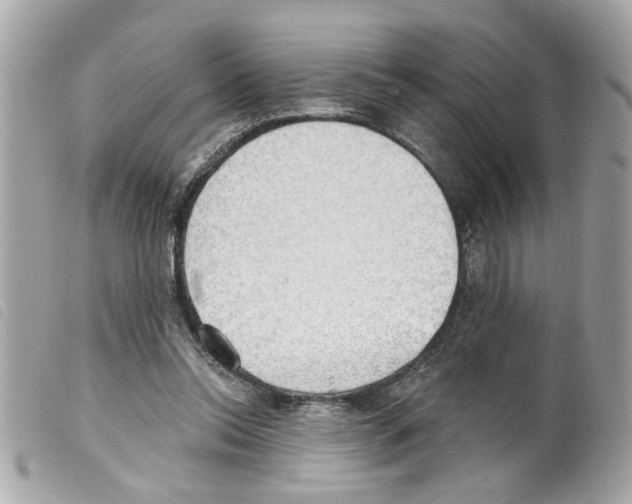 X0000099300350200805301138