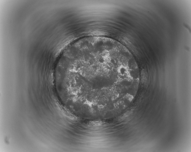 X0000099300351200805301138