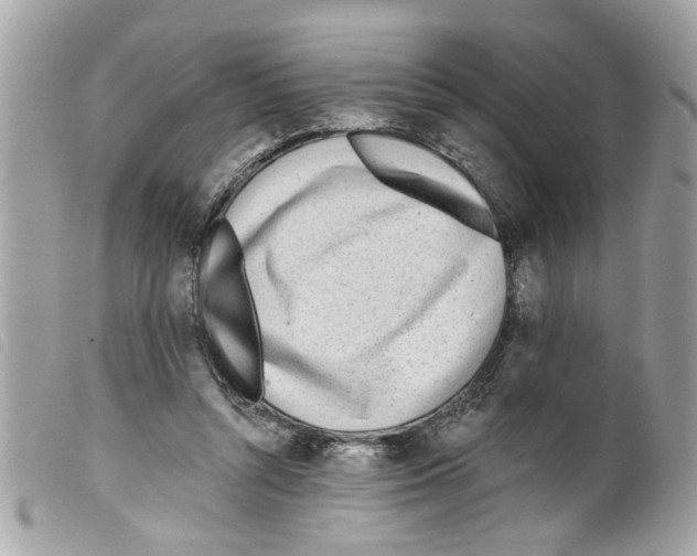 X0000099300352200805301138