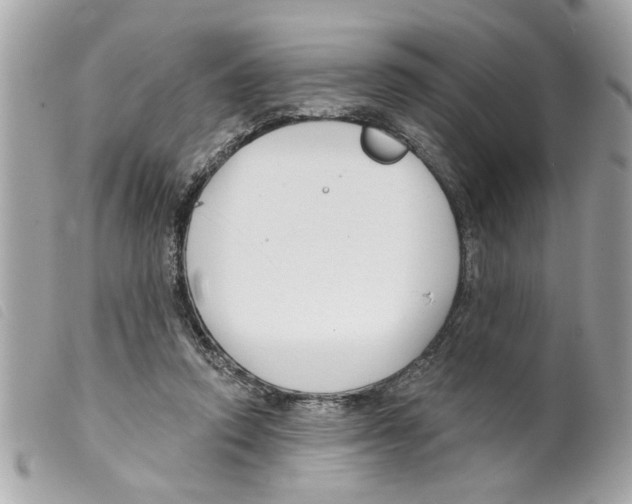 X0000099300354200805301138